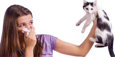 Chica Estornuda Alergia Gatos