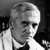 Premio Nobel Medicina Alexander Fleming