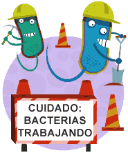 Bacterias Trabajando Microbios Cuarta Ley Biologica Hamer
