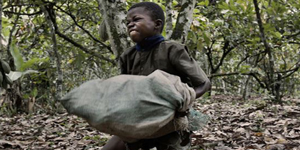 Niño Trabajo Infantil Cansancio Agotamiento Fatiga Debilidad Astenia
