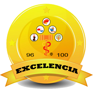 Excelencia 96 - 100 Puntos