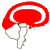 Corteza Cerebral Ectodermo