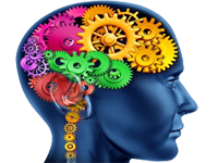 Cerebro Pensando Trabajando Funcionando