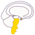 Tronco Cerebral Endodermo