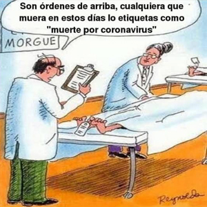 Pandemia Muerte Coronavirus H1N1