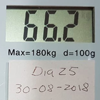 Proceso Lipolisis Dia 25
