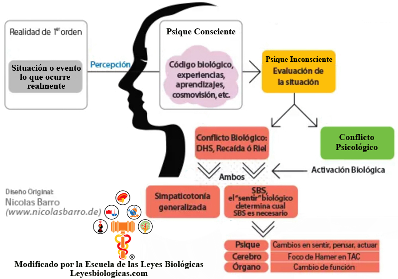 Grafica Conflicto Biologico Psicologico