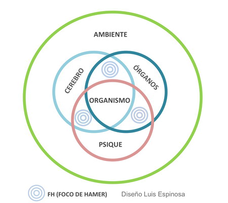 SBS Psique Cerebro Organo Ambiente