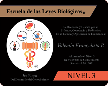 Valentin Evangelista Pulido Reconocimiento Academico Nivel 3 Escuela 5 Leyes Biologicas