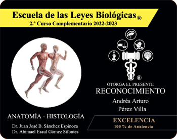 Andres Perez Andy Reconocimiento Curso Anatomia Histologia Primer Evento 2023 Escuela 5 Leyes Biologicas