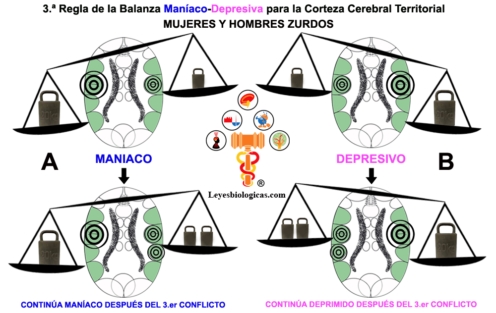 Tercera Regla Balanza Maniaco Depresiva Corteza Territorial Mania Depresion Tercer Impacto Constelacion Zurdas