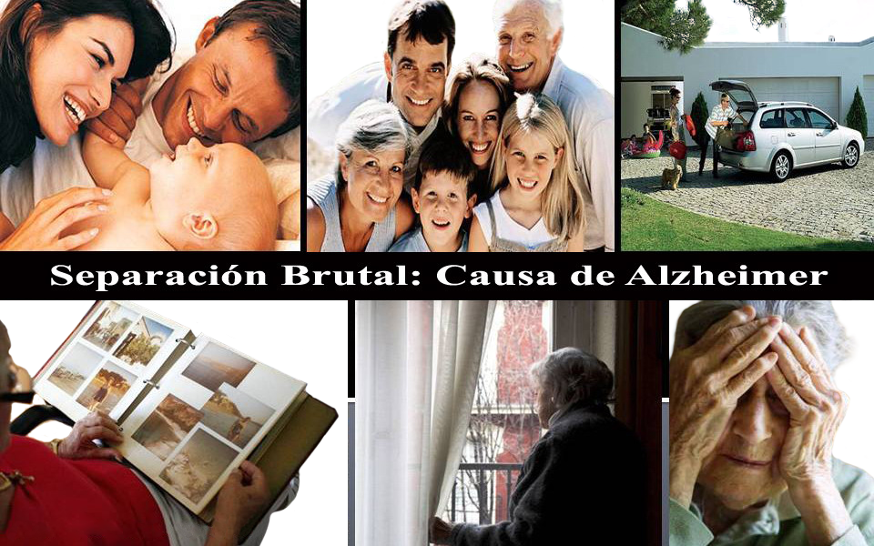Perdida Memoria Alzheimer Demencia Constelacion Cerebral Postsensorial
