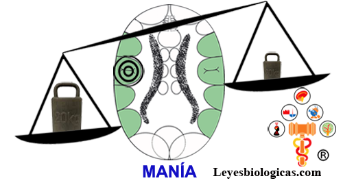 Segunda Regla Balanza Maniaco Depresiva Corteza Territorial Mania Primer Impacto Constelacion