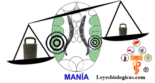Segunda Regla Balanza Maniaco Depresiva Corteza Territorial Mania Segundo Impacto Constelacion