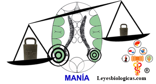 Segunda Regla Balanza Maniaco Depresiva Corteza Territorial Mania Segundo Impacto Constelacion