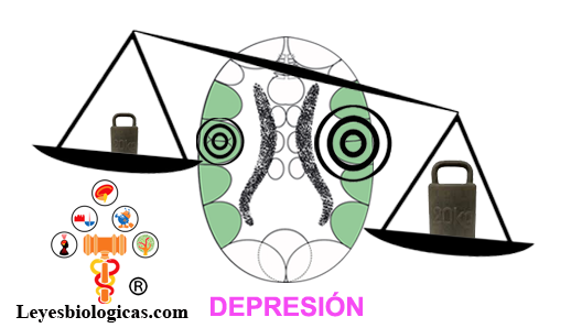 Corteza Cerebral Territorial Depresion Constelacion Balanza