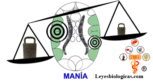 Corteza Cerebral Territorial Mania Constelacion Balanza