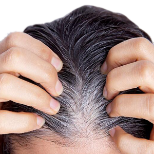 Hombre Canoso Pelo Cabello Blanco Canas