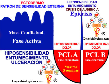 Patron Sensibilidad Externa Grafica Fases SBS Dolor