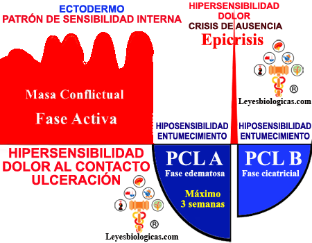 Patron Sensibilidad Interna Grafica Fases SBS Dolor