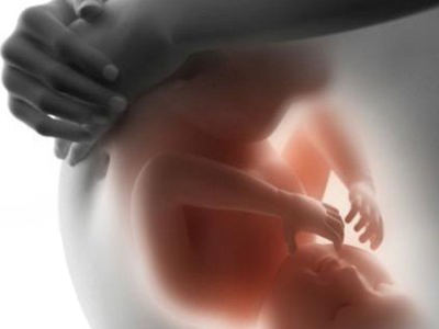 Embarazo Gestacion Feto Vientre Transparente Madre