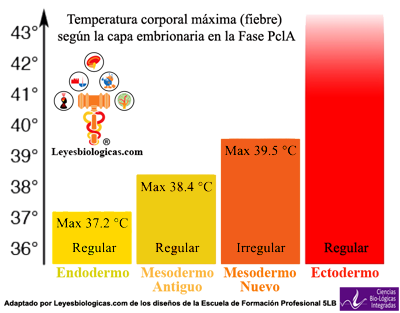 Grafica Fiebre Maxima Capa Embriologica PclA