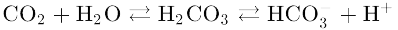 Formula Dioxido Carbono CO2 H2O Agua HCO3 H2CO3 Bicarbonato Hidrogeno