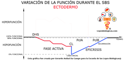 Grafica Variacion Funcion SBS Organos Ectodermo