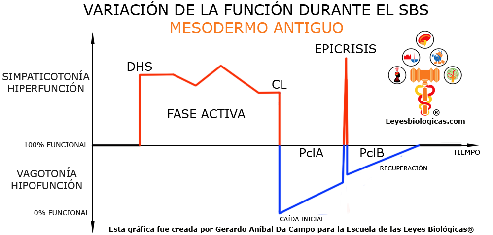 Grafica Variacion Funcion SBS Mesodermo Antiguo