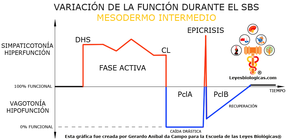 Grafica Variacion Funcion Mesodermo Intermedio SBS