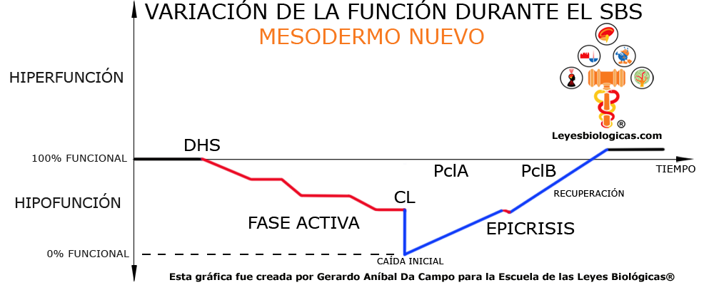 Grafica Variacion Funcion SBS Mesodermo Nuevo