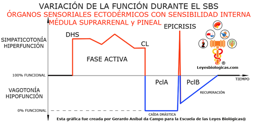 Grafica Variacion Funcion SBS Organos Sensoriales Ectodermo Sensibilidad Interna