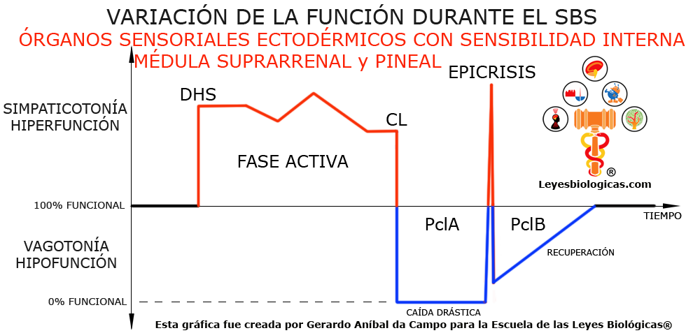 Grafica Variacion Funcion SBS Ectodermo Organos Sensoriales Sensibilidad Interna