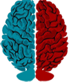 Hemisferios Cerebelo Corteza Cerebral Cerebro Sustancia Blanca