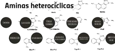 Medicamentos Aminas Heterociclicas