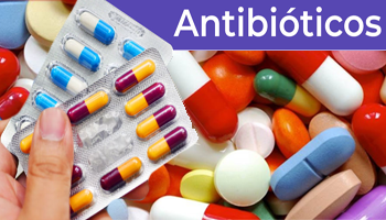 Medicamentos Antibioticos Capsulas