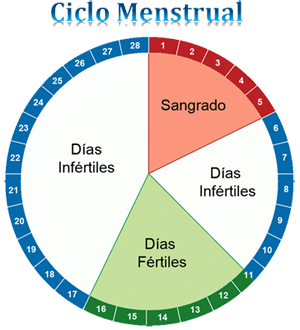 Ciclo Menstrual Dias Fertiles Infertiles Sangrado