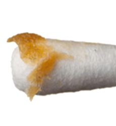 Glandulas Ceruminosas Cerumen Cotonete