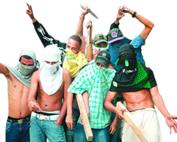 Pandilleros Criminales Delincuencia