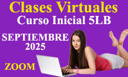 Clases Virtuales Zoom Curso Inicial 5LB Escuela 5 Leyes Biologicas Nueva Medicina Germanica Hamer