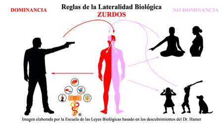 Reglas Lateralidad Biologica Dominancia Zurdos