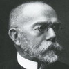 Premio Nobel Medicina Robert Koch