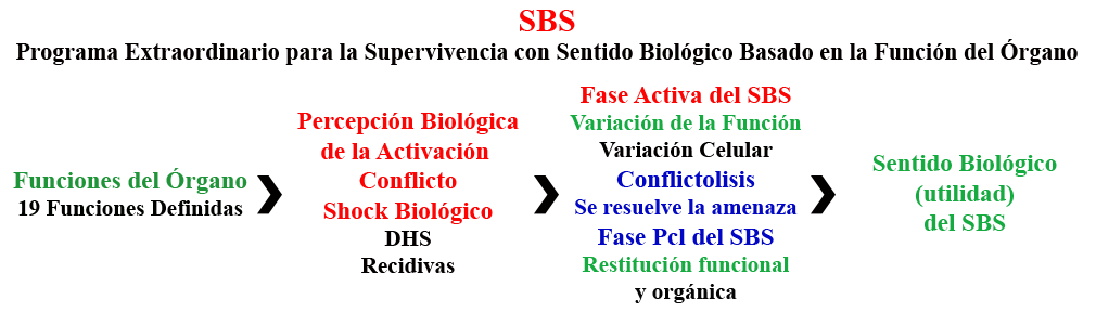 SBS Funciones Organo Shock Biologico Fase Activa Sentido Biologico